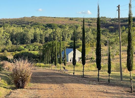 uruguay/artigas/landmark/casa-tannat