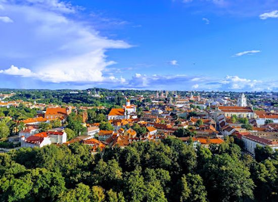 lithuania/vilnius/landmark/gediminas-castle-tower