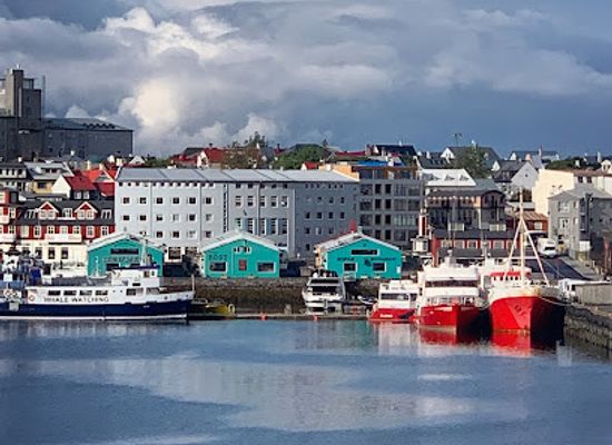 iceland/reykjavik-capital-area/landmark/bufa