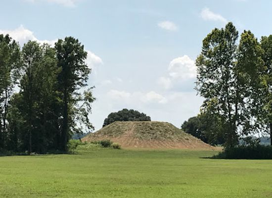 arkansas/mississippi-alluvial-plain/landmark/winterville-mounds-museum