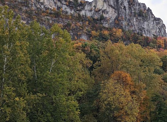 west-virginia/seneca-rocks/landmark/seneca-rocks-picnic-area