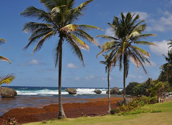 barbados/mullins-beach/landmark/harrison-s-cave-eco-adventure-park