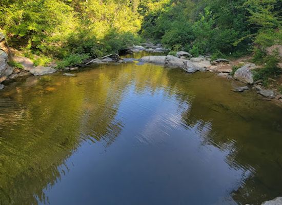 alabama/alabama-coastal-birding-trail/landmark/talladega-national-forest