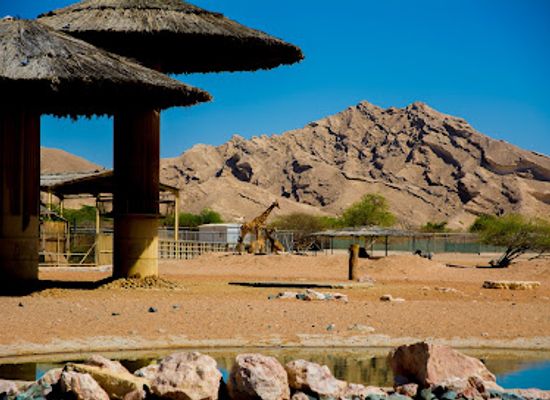 united-arab-emirates/jebel-hafeet/landmark/al-ain-zoo