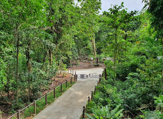 singapore/macritchie-reservoir/landmark/thomson-nature-park