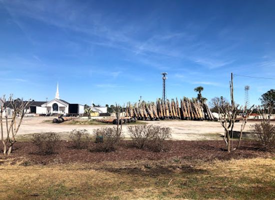 south-carolina/myrtle-beach/landmark/wheels-of-yesteryear