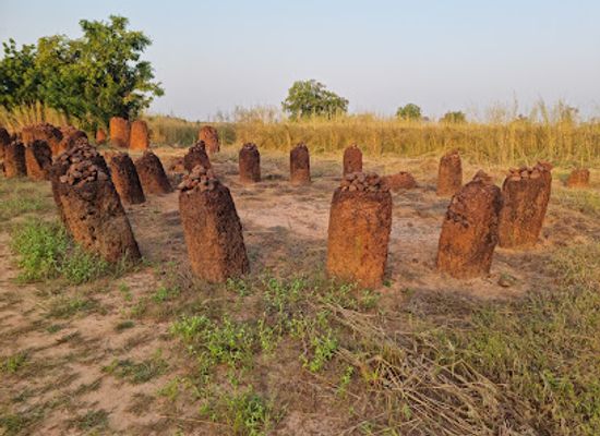 the-gambia/lower-river-region/landmark/stone-circles-of-gambia