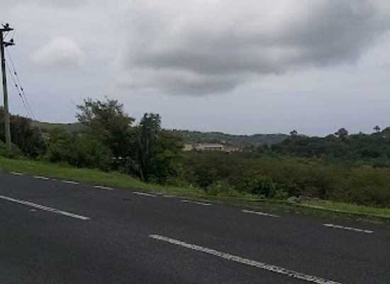 mauritius/rodrigues/landmark/le-chou-rodrigues
