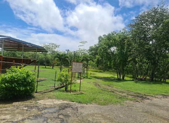 trinidad-and-tobago/edith-falls/landmark/devil-s-woodyard