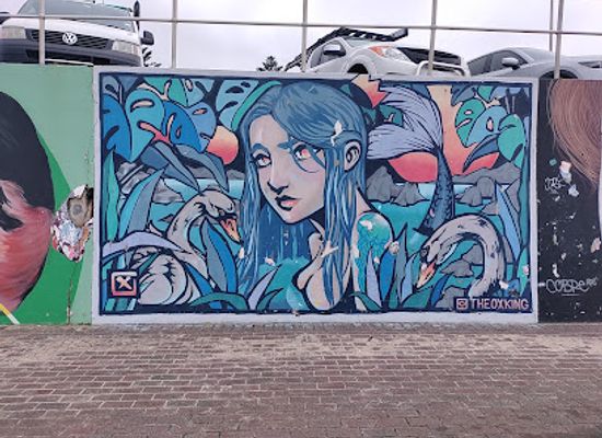 australia/sydney/bondi-beach/landmark/bondi-murals
