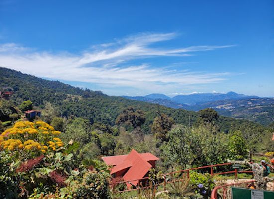 costa-rica/arenal-volcano-area/landmark/parque-nacional-los-quetzales