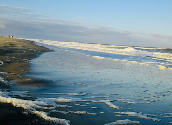 virginia/tidewater/landmark/chincoteague-island