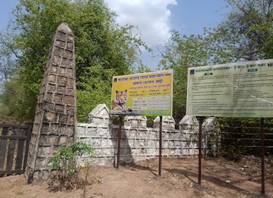 india/maharashtra/landmark/tadoba-andhari-tiger-reserve