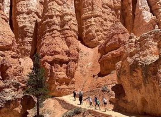 utah/bryce-canyon-national-park/landmark/wall-street
