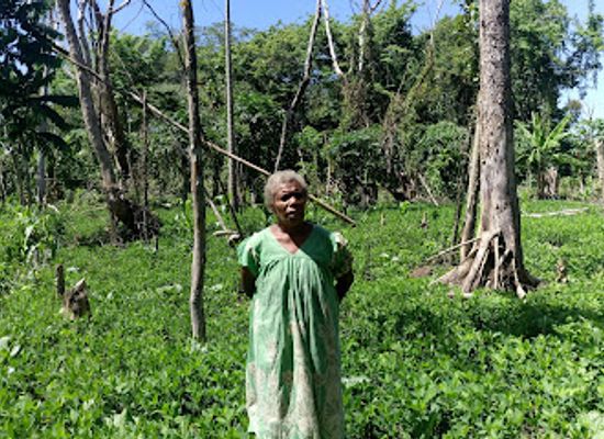 vanuatu/malampa/landmark/mata-valulu-garden