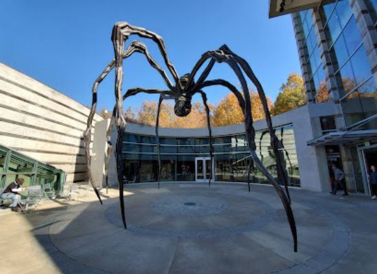arkansas/bentonville/landmark/crystal-bridges-museum-of-american-art