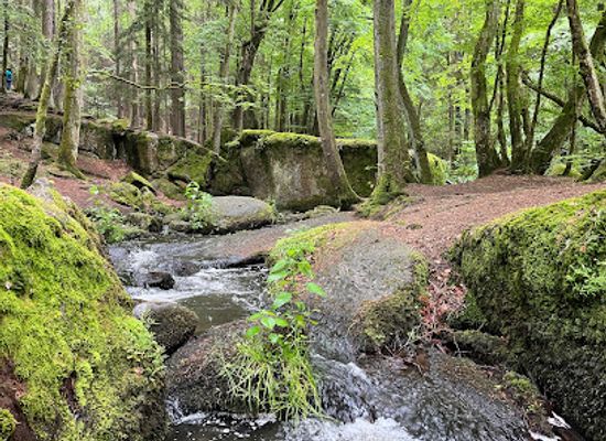 germany/upper-palatinate/landmark/holle-nature-reserve