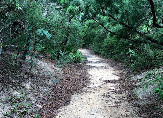 florida/nature-coast/landmark/spanish-coquina-quarries