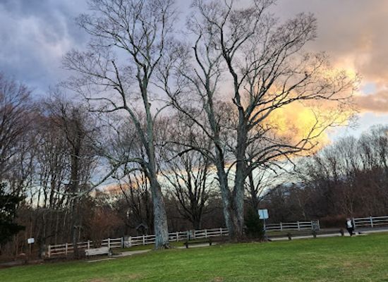 connecticut/norwalk/landmark/gallaher-mansion-and-cranbury-park