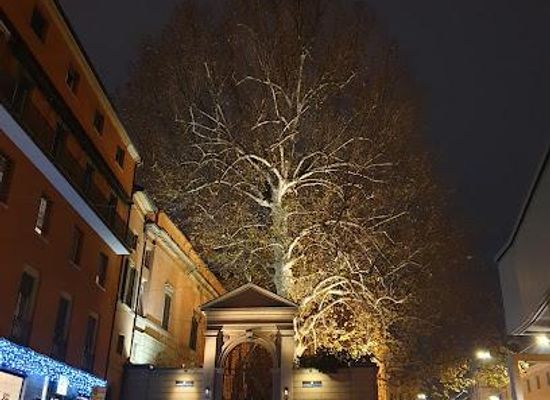 italy/bologna/landmark/piazza-malpighi