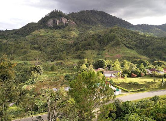 madagascar/fianarantsoa/landmark/ranomafana-national-park
