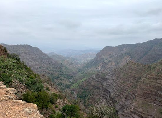 djibouti/dikhil/landmark/day-forest-national-park