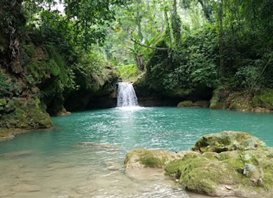 jamaica/santa-cruz-mountains/landmark/breadnut-valley-estate