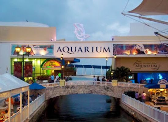 mexico/cancun/zona-hotelera/landmark/interactive-aquarium-cancun