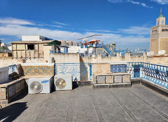 tunisia/tunis/bab-el-bhar/landmark/les-toits-de-la-medina-tunis