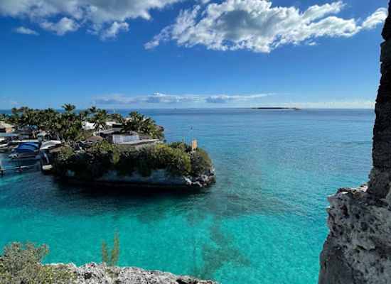 the-bahamas/nassau-and-paradise-island/landmark/dolphin-encounters