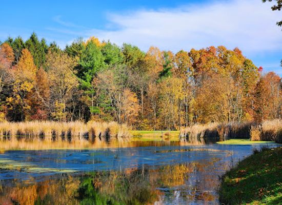 ohio/cuyahoga-valley-national-park/landmark/tree-farm-trail