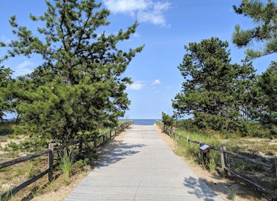maine/saco/landmark/ferry-beach-state-park