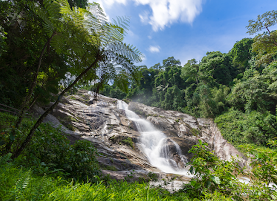 thailand/nakhon-si-thammarat/landmark/khao-luang-national-park