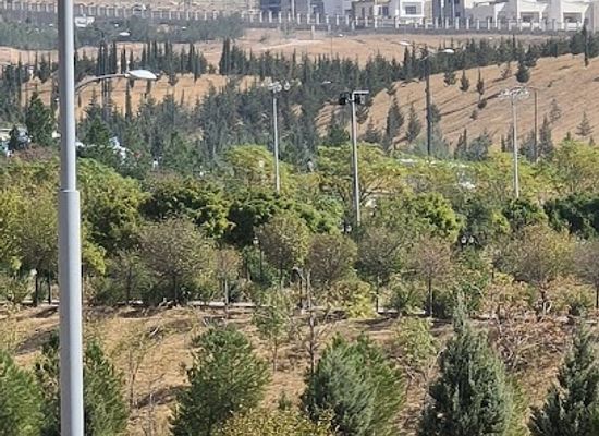 iraq/sulaymaniyah-governorate/landmark/roman-theatre-sanoy-romani