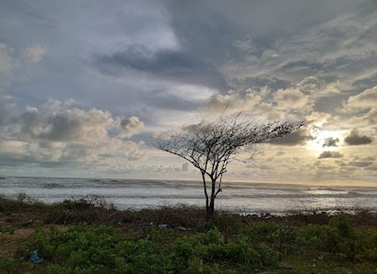 bangladesh/cox-s-bazar/himchori/landmark/himchari-sea-beach