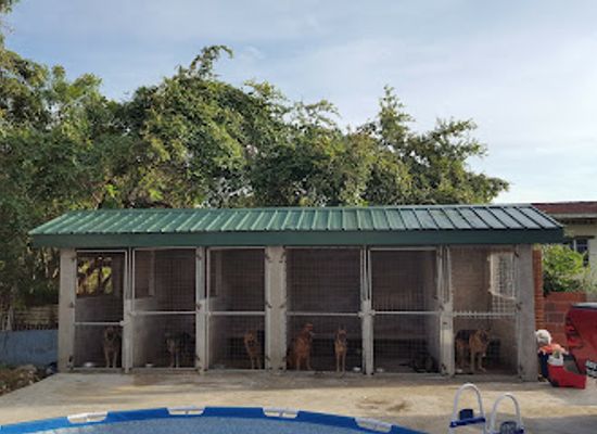 trinidad-and-tobago/tunapuna/landmark/golden-pride-veterinary-clinic-limited