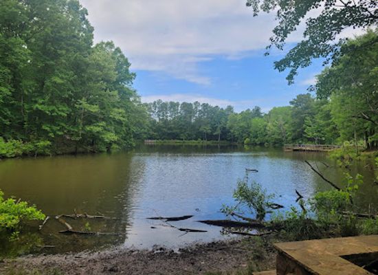 south-carolina/fort-mill/landmark/anne-springs-close-greenway-adventure-road