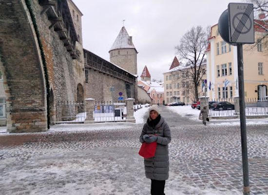 estonia/laane-county/landmark/nun-tower