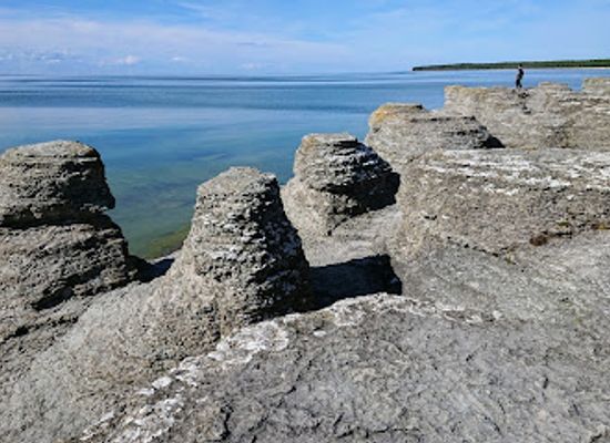 sweden/oland/attraction/byrums-raukar
