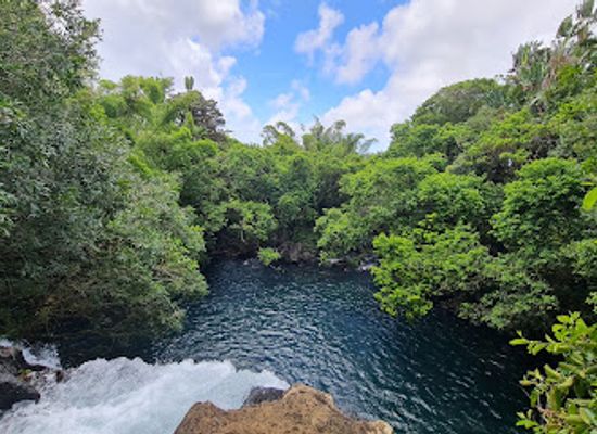 mauritius/ile-aux-cerfs/landmark/cascade-eau-bleu