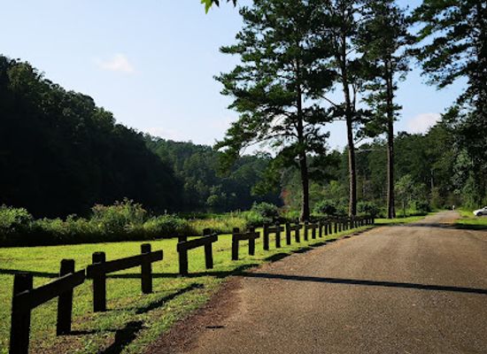 alabama/hill-country/landmark/devil-s-den-falls