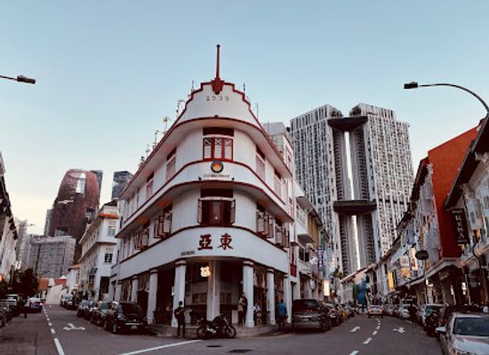 singapore/chinatown/tanjong-pagar/landmark/duxton-plain-park