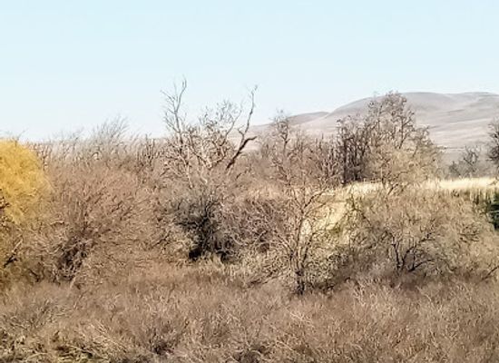 oregon/umatilla-county/landmark/old-union-pacific-railroad-bed