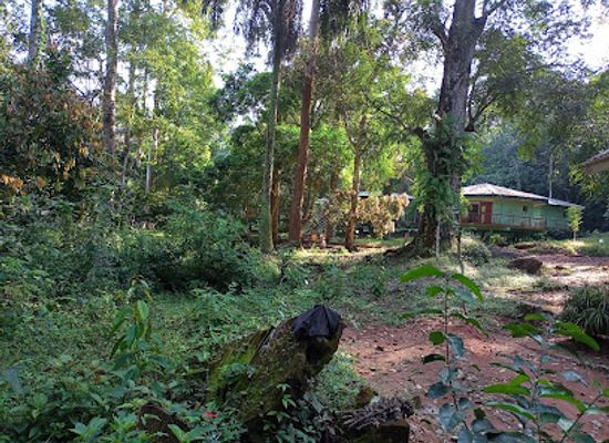 nigeria/itsekiri/landmark/okomu-national-park