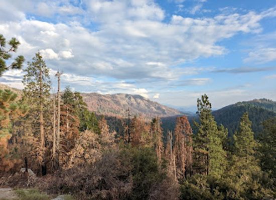 california/central-california/landmark/redwood-mountain-overlook