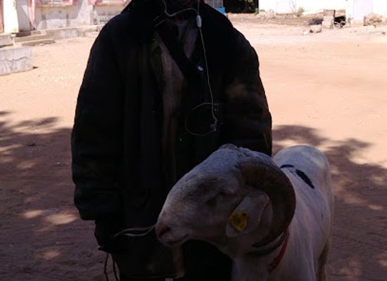 senegal/fatick/landmark/mosquee-de-fatick