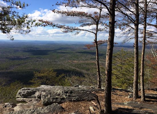 alabama/appalachian-mountains/landmark/mcdill-point