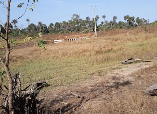 senegal/casamance/landmark/casamance-ecoparc