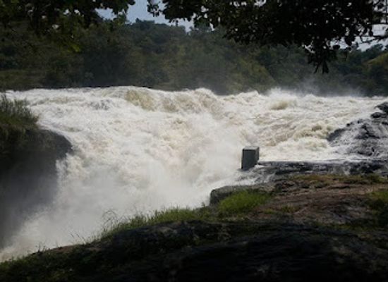 uganda/central-region/landmark/gorilla-trips-uganda-murchison-falls-safaris