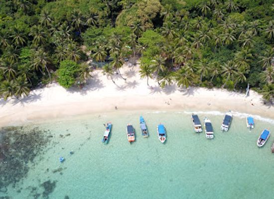 vietnam/phu-quoc/landmark/dong-noi-phu-quoc-tourist